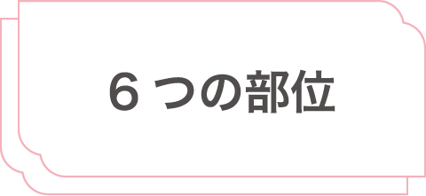 6つの部位